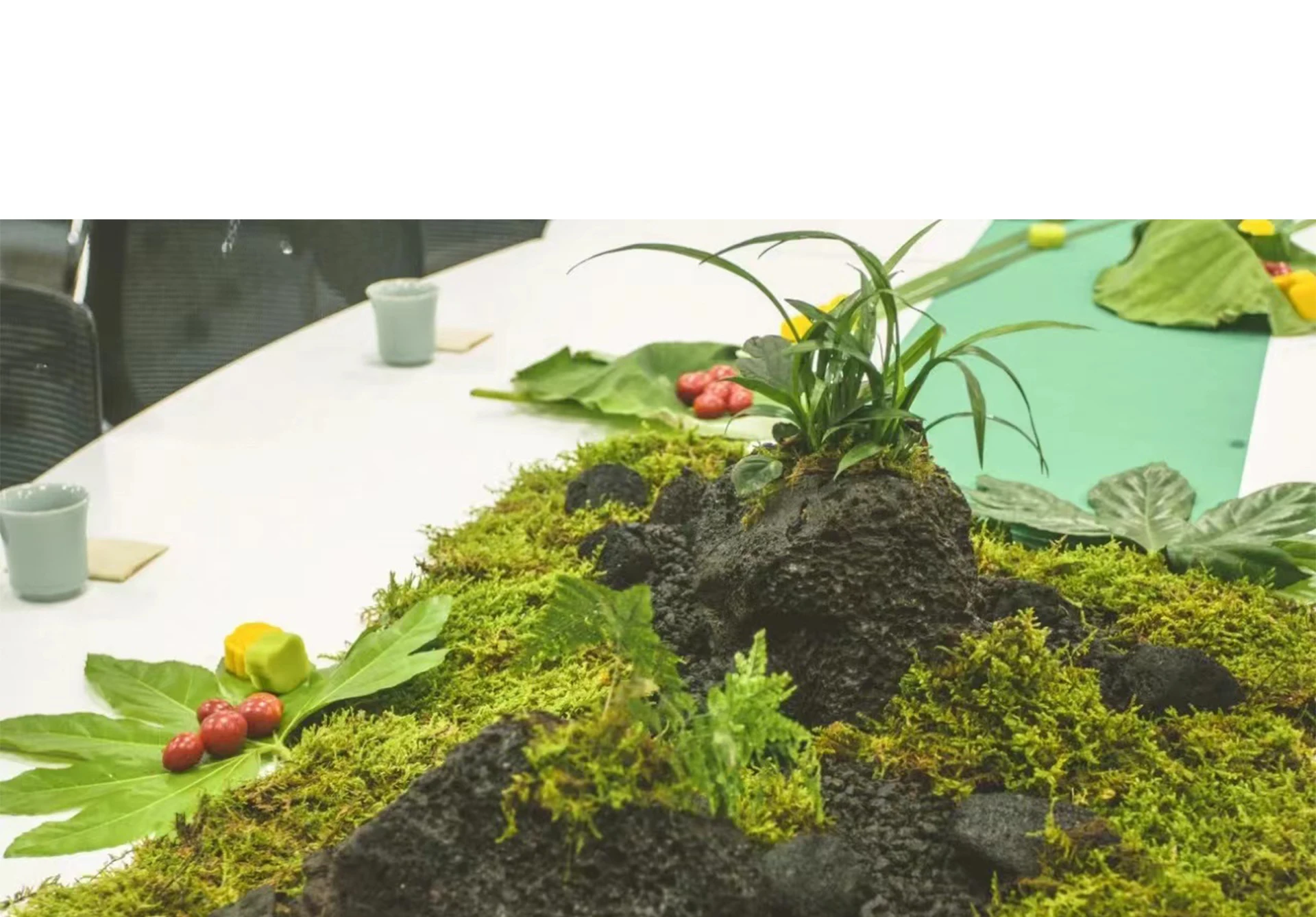 Mousse artificielle pour plant - Terrarium Moss Art avis et prix