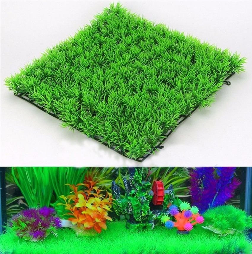 Plante d'herbe verte artificie - Terrarium Moss Art avis et prix